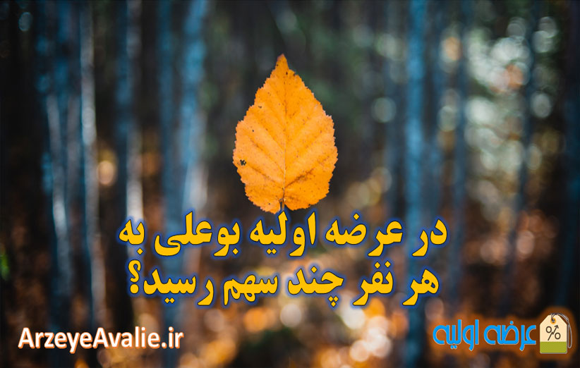 در عرضه اولیه بوعلی به هر نفر چند سهم رسید؟